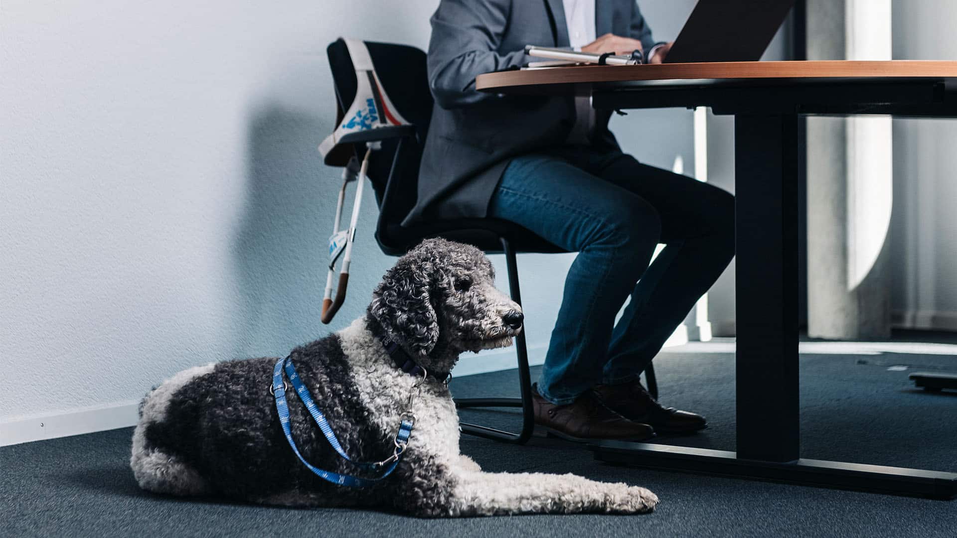 Ein Mann sitzt an einem Schreibtisch und bedient einen Laptop. Neben ihm sitzt ein Blindenführhund auf dem Boden. 