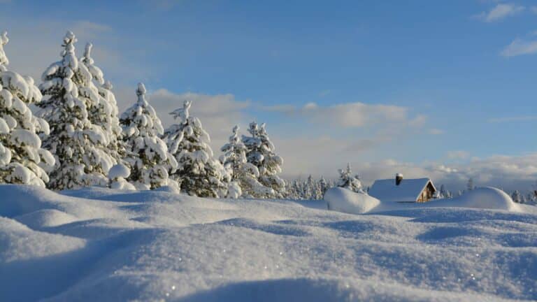 Paysage hivernal profondément enneigé