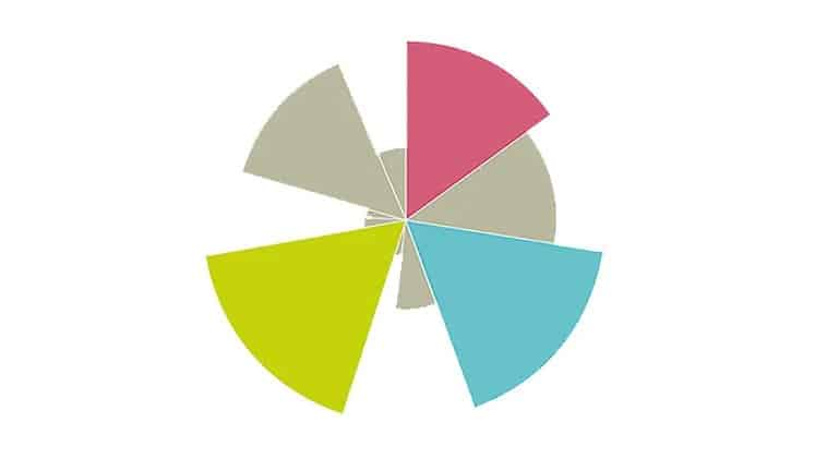 Ein Kreisdiagramm mit verschiedenen Farben.