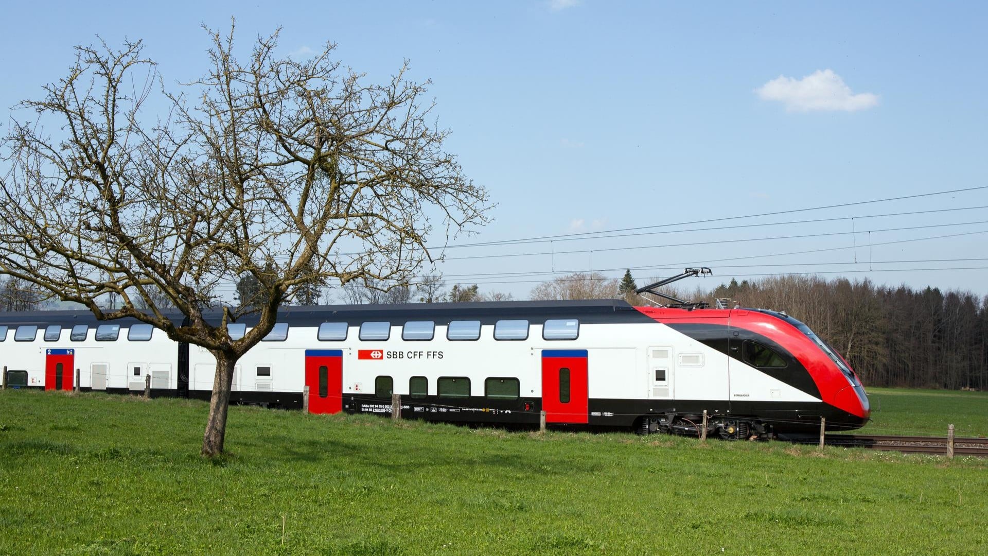 Der weiss-rot-schwarze SBB-Zug FV-Dosto fährt durch eine grüne Wiesenlandschaft.