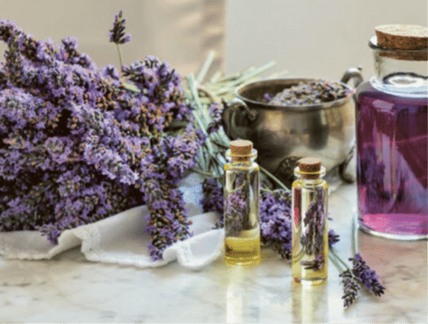 Un bouquet de lavande fraîche repose sur une table en marbre, accompagné de petits flacons d'huile essentielle dorée et d'une bouteille de liquide violet, évoquant une ambiance d'aromathérapie apaisante.
