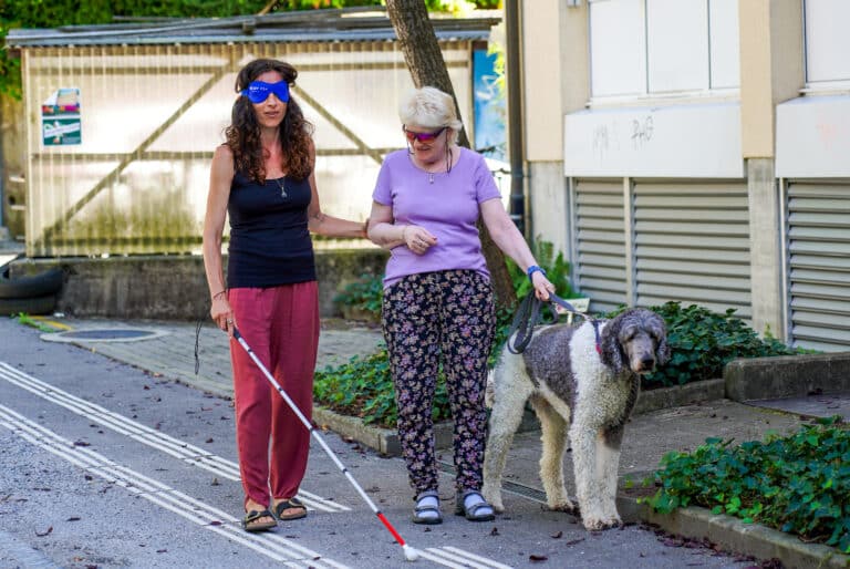 Auf einem Gehweg mit taktilem Leitsystem gehen zwei Personen nebeneinander. Eine Person nutzt einen weissen Langstock und trägt eine Dunkelbrille. Die andere Person begleitet sie mit einem grossen Blindenhund.