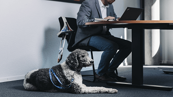Un chien guide d'aveugle est allongé sur le sol à côté d'un homme. L'homme est assis à son bureau.