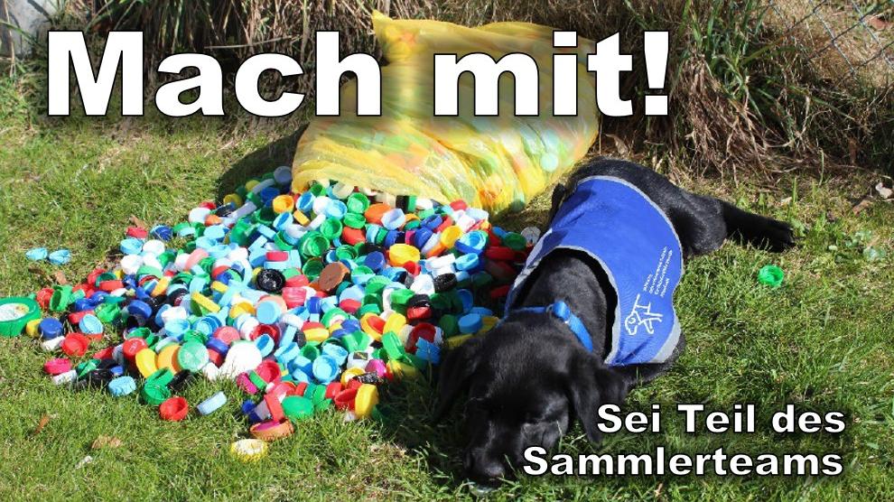 BILD: Ein schwarzer Hund liegt neben einem offenen, gelben Plastiksack, aus dem unzählige, bunte Flaschendeckel herausfallen. Text: "Mach mit! Sei Teil des Sammlerteams"