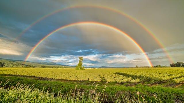 FOTO: Acker mit doppeltem Regenbogen